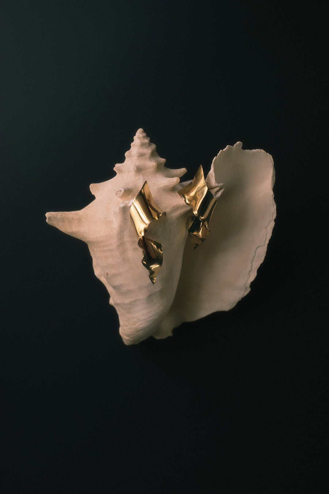 Remolino Earrings